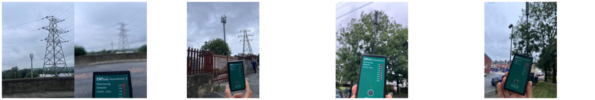 ALL_PICS_CLAYTON.jpg